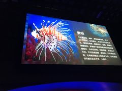 -太平洋海底世界