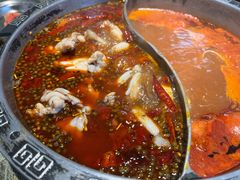 美蛙-销魂美蛙鱼头火锅(上海首店)