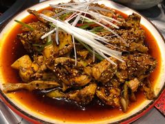 椒麻鸡-红辣椒·川菜·火锅(科华路店)