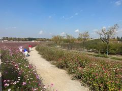 -嘉北郊野公园