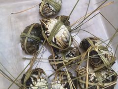 -蟹状元大闸蟹·年货·粽子(成都成华店)