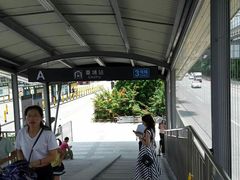 -麦当劳(金稻田路餐)