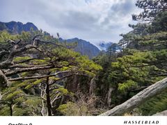 -黄山风景区