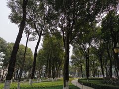 -重庆市江北嘴中央商务区中央公园