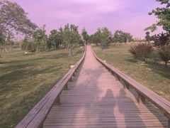 -汉长安城未央宫国家考古遗址公园