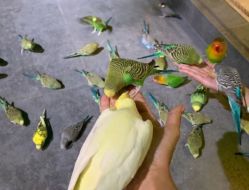 -酷嗒动物文化乐园(cutezoo西溪乐天城店)