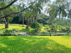 -云溪植物园