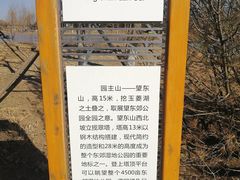 -东郊湿地公园