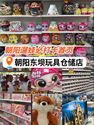 -玩动奇季品牌玩具超市