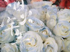 -宝鸡东道花鸟鱼虫市场(吉利花园商场店)
