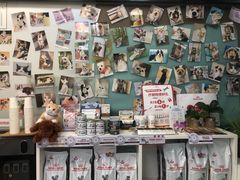 -爱妮康宠物医院·干细胞免疫细胞·肿瘤·心脏(张江店)