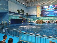 -多彩贵州城极地海洋世界