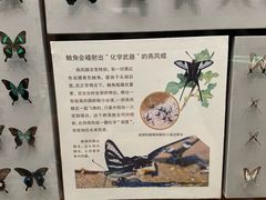 -天津自然博物馆