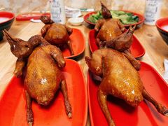 -光明刘冰乳鸽店(光明法政北路店)