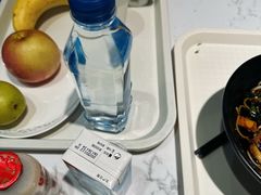 -虹桥机场国航贵宾室v8