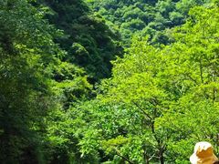 -宁波五龙潭景区