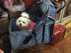 -新梅居(宁海东路店)
