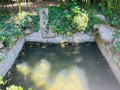 -趵突泉景区
