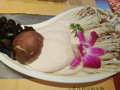-玩煮炭火锅(延福街店)