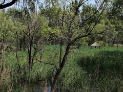 -石家庄市动物园