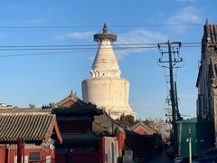 -杏园餐厅(阜成门店)