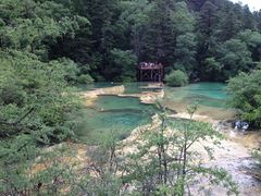 -黄龙山原始森林景区