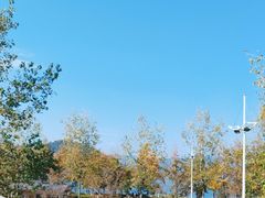 -宝荣鱼馆·临湖之宴(千岛湖店)