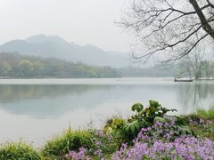 -茅家埠