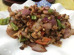 辣炒海兔-故乡明太鱼屋(航北路店)