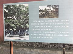 -闽粤南澳总镇府