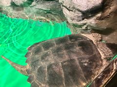 -常州海昌海洋探索馆