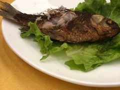 香茅草烤鲫鱼-蝴蝶泉宾馆-中餐厅