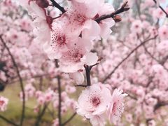 -白塘生态植物园