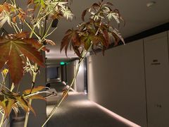 -深圳滨河时代ICON LAB艾垦酒店