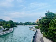 -长隆横琴湾酒店(珠海旗舰店)