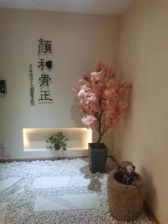 -颜和骨正·明哲式骨相美学整骨
