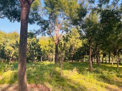 -东郊湿地公园