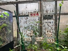 -上海昆虫博物馆