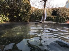 -仁爱团泊湖温泉中心