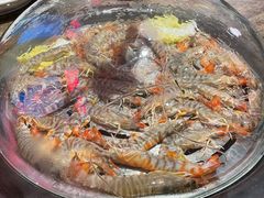 -日进一片海.生腌海鲜火锅.宵夜烧烤(三里屯总店)