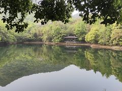 -杭州半山国家森林公园