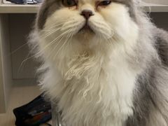 -佳雯宠物医院·皮肤科·内外科(春晓路分院)