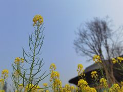 -中国天府农业博览园