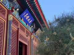 -天津大悲禅院