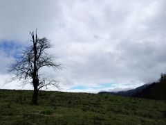 -硗碛藏寨·神木垒景区