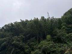 -长谷洞天