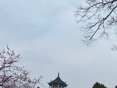 -无锡梅园公园