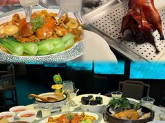 -桂满陇·海市蜃楼·黑金(国金店)