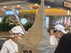 -野人先生Gelato(上海长宁龙之梦店)