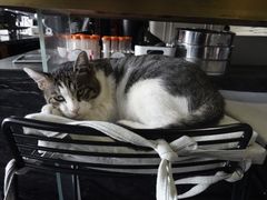 -UNI UNI(环亚凯瑟琳店)